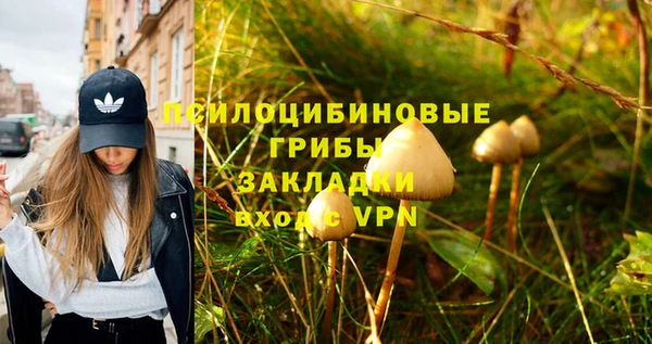 гидропоника Верхнеуральск