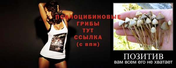 гидропоника Верхнеуральск